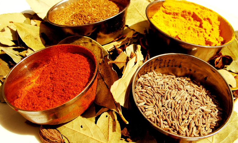India: Land of Spices - Indisch kochen lernen