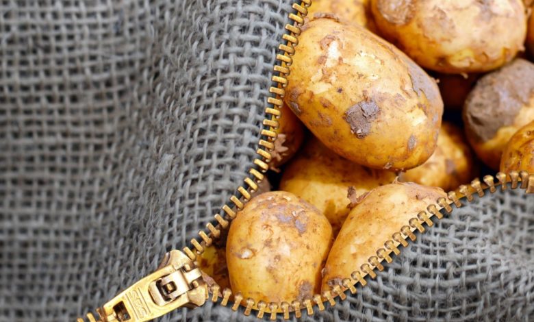 Wie viele Kalorien haben Kartoffeln?